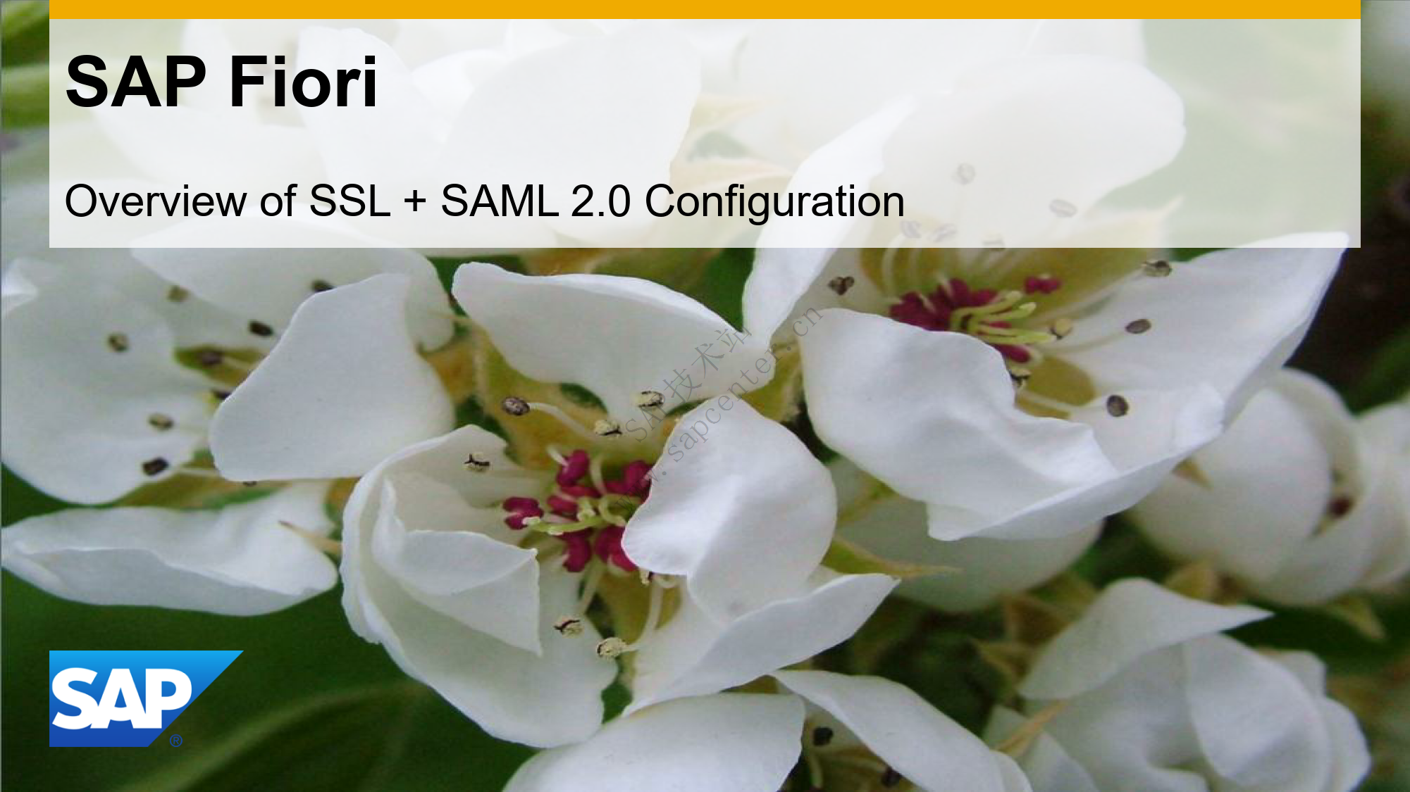 SAP Fiori SSL SAML Overview_01.png