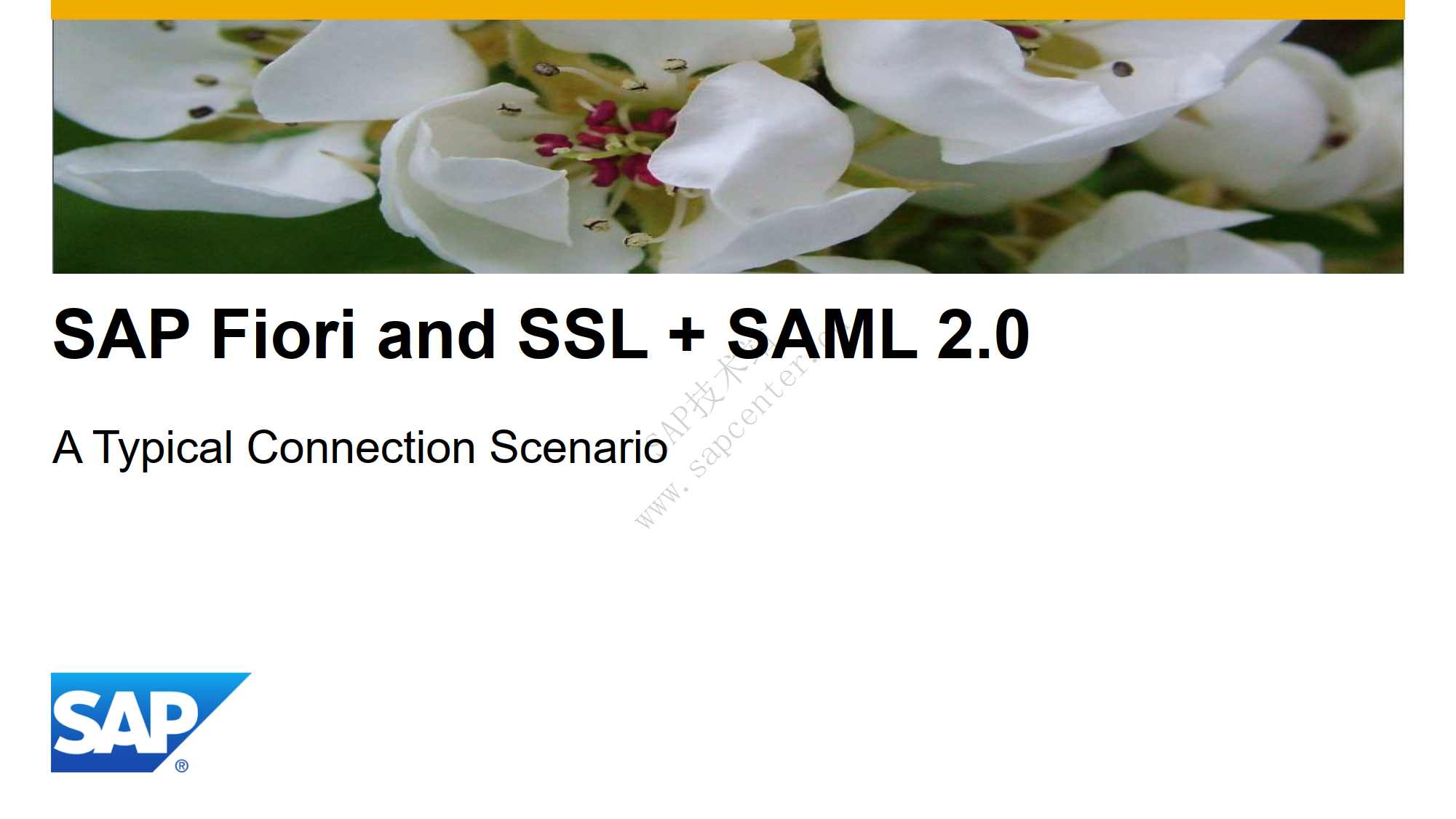 SAP Fiori SSL SAML Overview_02.png